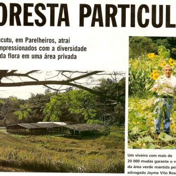 2000 Revista Cláudia