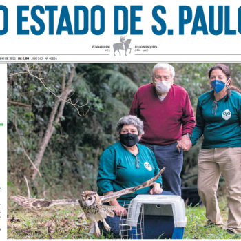 2021 O Estado de S. Paulo
